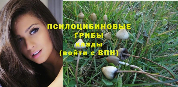 твердый Алзамай
