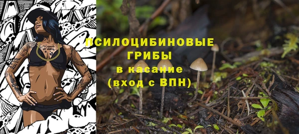 apvp Алексеевка