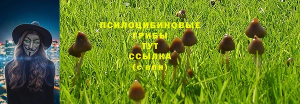 apvp Алексеевка