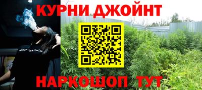 прущие крисы Будённовск