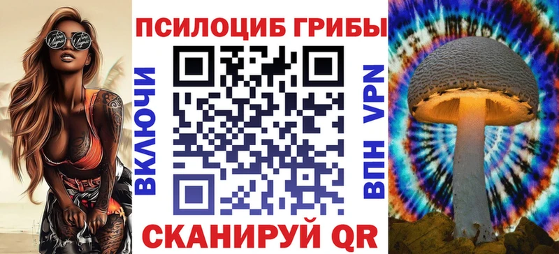 Псилоцибиновые грибы Cubensis  Кыштым 